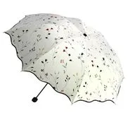 Parasol