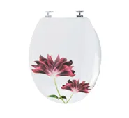 Toilet seat