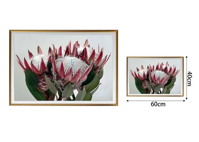 Cuadros decorativos, modelo JSH0275