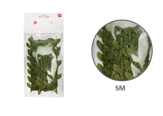 Soga, 5 m