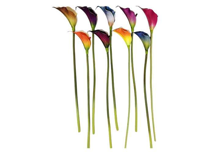 Flores y árboles decorativos, modelo 100144