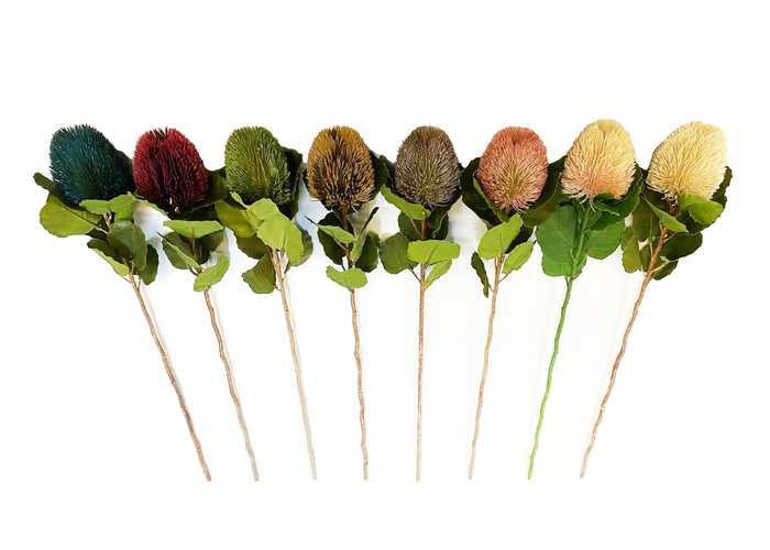 Flores y árboles decorativos, modelo 100158