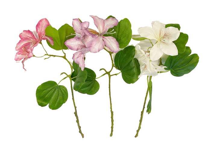 Flores y árboles decorativos, modelo 100186