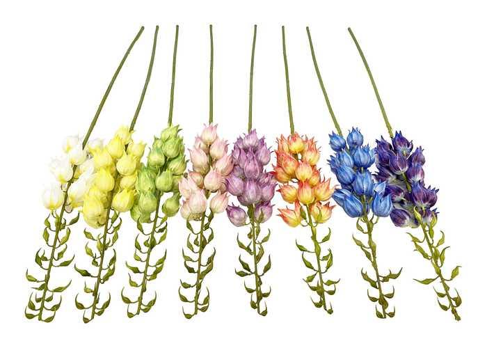 Flores y árboles decorativos, modelo 110230