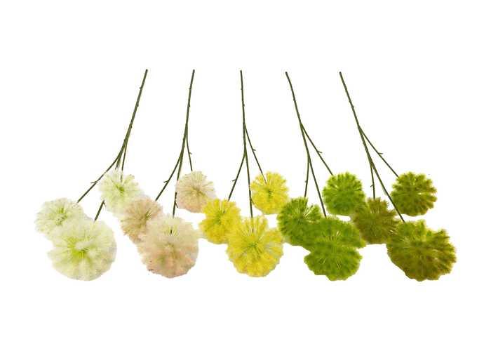Flores y árboles decorativos, color verde, modelo 110231