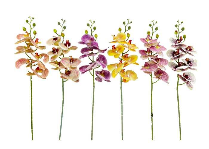 Flores y árboles decorativos, modelo 120160