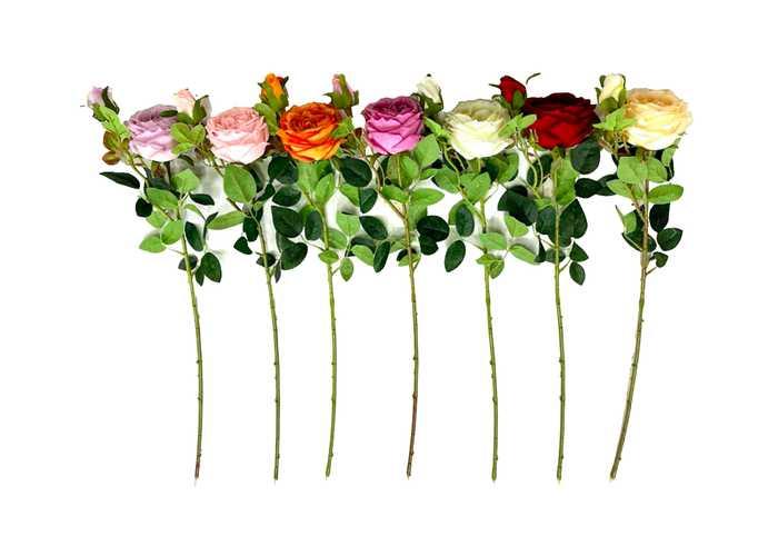 Flores y árboles decorativos, modelo 120168