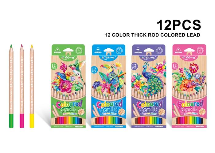 Lápices de colores, modelo YL231068-12