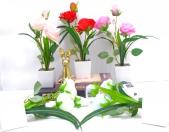 Bonsái decorativo, 34 cm, 7,5 cm, modelo 147620