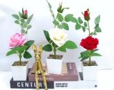 Bonsái decorativo, 32 cm, 7,5 cm, modelo 147623