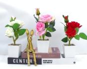 Bonsái decorativo, 26 cm, 7,5 cm, modelo 147625