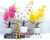 Bonsái decorativo, 42 cm, 8,5 cm, 10 cm