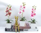 Bonsái decorativo, 31 cm, 7,5 cm, modelo 147630