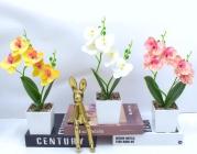 Bonsái decorativo, 30 cm, 7,5 cm, modelo 147631
