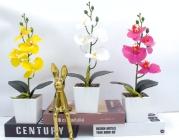 Bonsái decorativo, 32 cm, 7,5 cm, modelo 147632