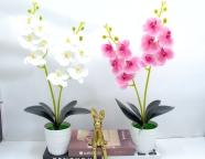 Bonsái decorativo, 55 cm, 10 cm