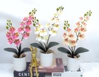 Bonsái decorativo, 45 cm, 10 cm, modelo 147640