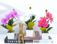 Bonsái decorativo, 29 cm, 7,5 cm, modelo 147642