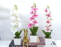 Bonsái decorativo, 40 cm, 7,5 cm, modelo 147643
