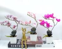 Bonsái decorativo, 32 cm, 7,5 cm, modelo 147644