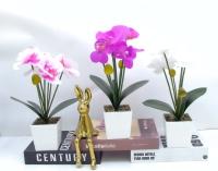 Bonsái decorativo, 26 cm, 7,5 cm, modelo 147645