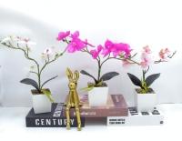 Bonsái decorativo, 29 cm, 7,5 cm, modelo 147646