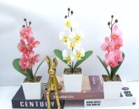 Bonsái decorativo, 31 cm, 7,5 cm, modelo 147647