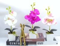 Bonsái decorativo, 35 cm, 7,5 cm, modelo 147648