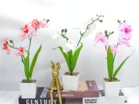 Bonsái decorativo, 40 cm, 7,5 cm, modelo 147649