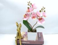 Bonsái decorativo, 30 cm, 7,5 cm, modelo 147650