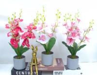 Bonsái decorativo, 40 cm, 8,5 cm, 9 cm
