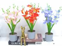Bonsái decorativo, 43 cm, 8,5 cm, 9 cm