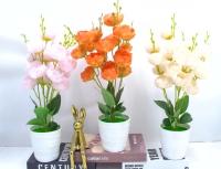 Bonsái decorativo, 45 cm, 10 cm, modelo 147655