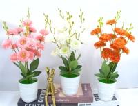 Bonsái decorativo, 41 cm, 10 cm, modelo 147656