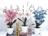 Bonsái decorativo, 41 cm, 10 cm, modelo 147657