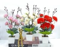 Bonsái decorativo, 41 cm, 7,5 cm, modelo 147662