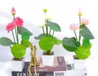 Bonsái decorativo, 5 cm, 38 cm, 7,5 cm