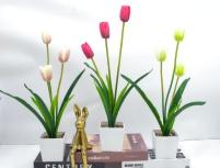 Bonsái decorativo, 42 cm, 7,5 cm