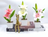 Bonsái decorativo, 29 cm, 7,5 cm, modelo 147670
