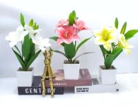Bonsái decorativo, 31 cm, 7,5 cm, modelo 147671