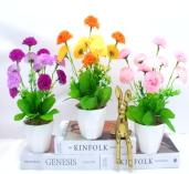 Bonsái decorativo, 32 cm, 8,5 cm, 10,5 cm, color bicolor