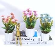 Bonsái decorativo, 24 cm, 8 cm, 10 cm