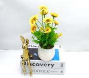 Bonsái decorativo, 26 cm, 8,5 cm, 9 cm