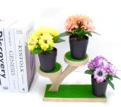 Bonsái decorativo, 14 cm, 7 cm, 8 cm, modelo 147723