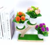 Bonsái decorativo, 14 cm, 6 cm, 7 cm