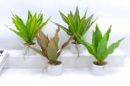 Bonsái decorativo, 33 cm, 7,5 cm, modelo 147743