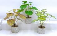 Bonsái decorativo, 29 cm, 8 cm, color verde