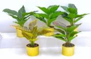 Bonsái decorativo, 27 cm, 7,5 cm, modelo 147748