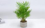 Bonsái decorativo, 43 cm, 10 cm