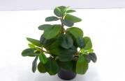 Bonsái decorativo, 30 cm, 9 cm, modelo 147754